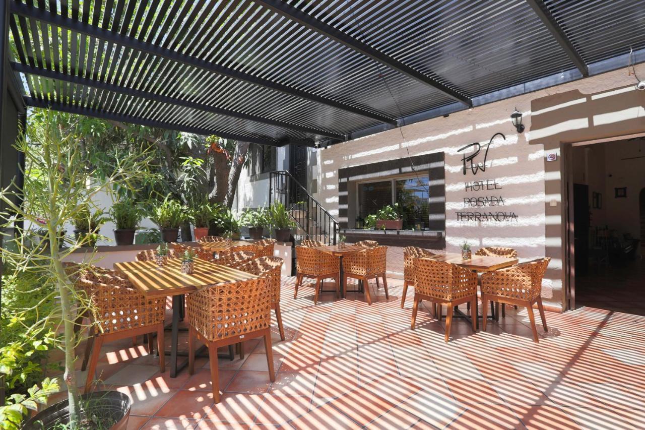 Hotel Posada Terranova San José del Cabo Εξωτερικό φωτογραφία