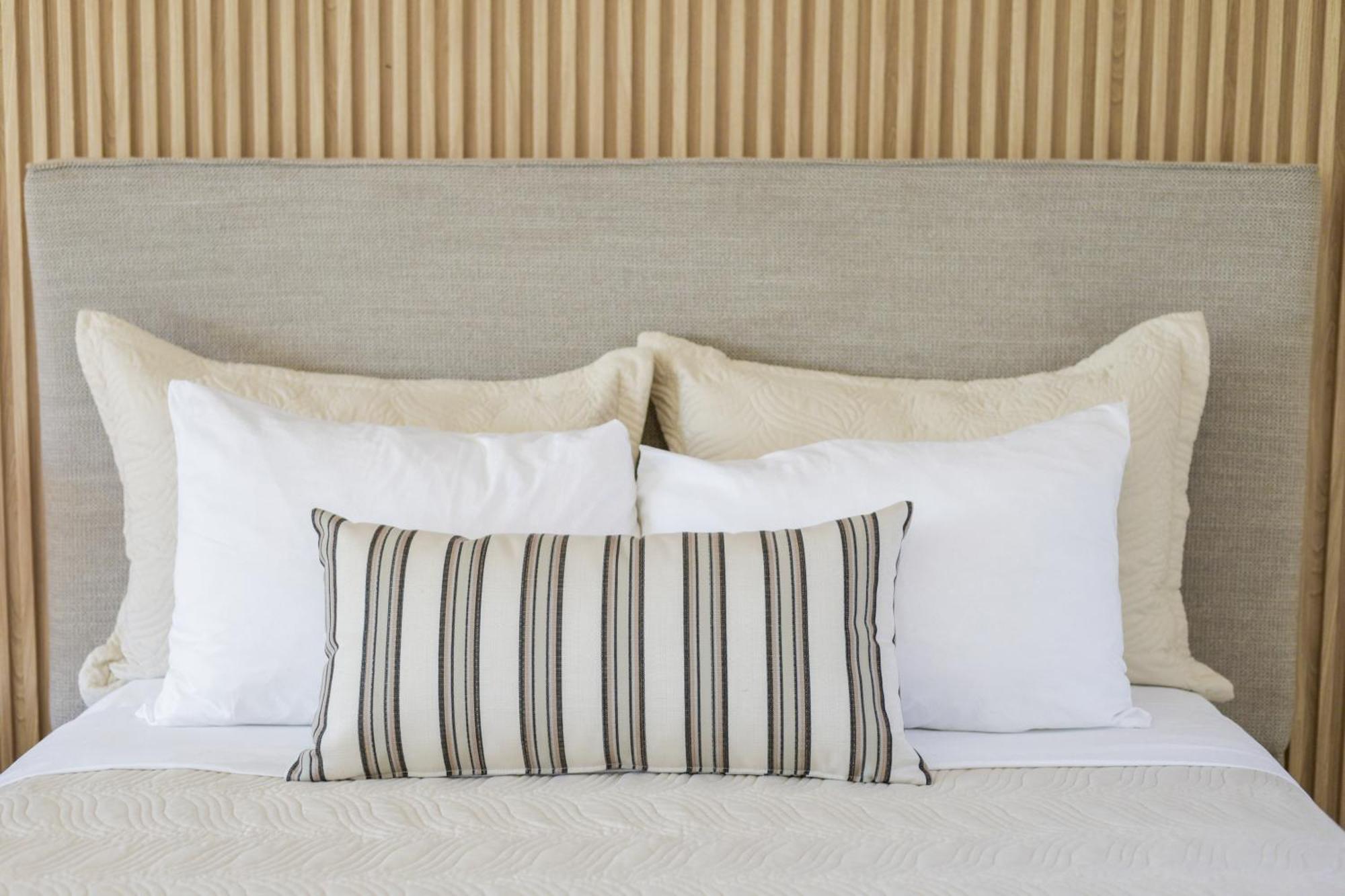 Hotel Posada Terranova San José del Cabo Εξωτερικό φωτογραφία