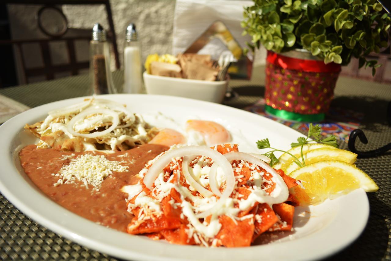 Hotel Posada Terranova San José del Cabo Εξωτερικό φωτογραφία