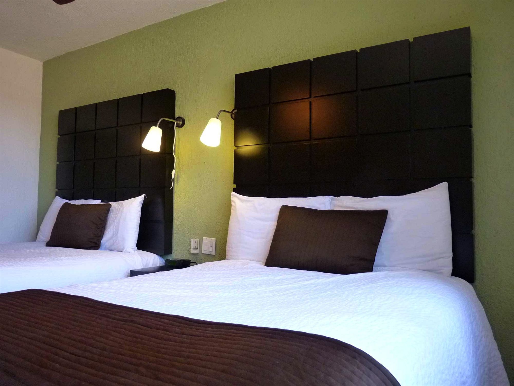 Hotel Posada Terranova San José del Cabo Εξωτερικό φωτογραφία